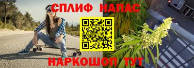 a pvp Донской