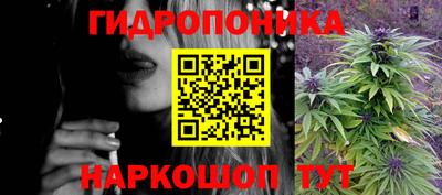 соль ск Дубна