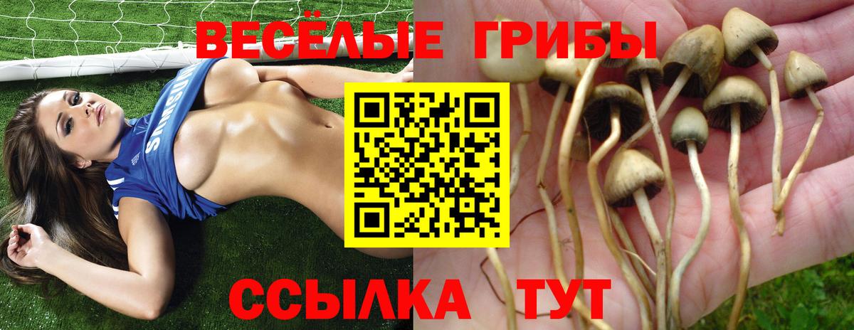 Псилоцибиновые грибы MAGIC MUSHROOMS Балтийск