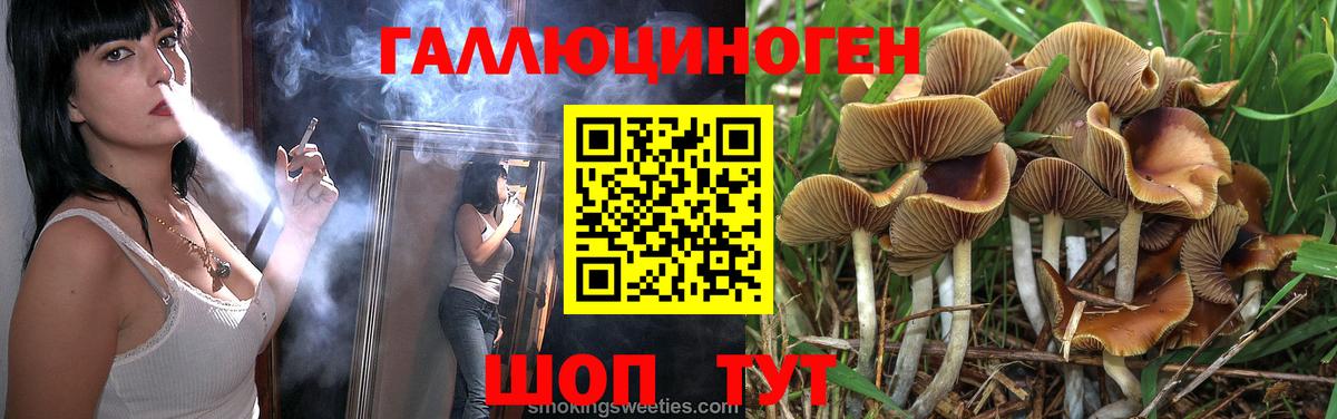 Галлюциногенные грибы MAGIC MUSHROOMS  Вход с VPN  Балтийск 